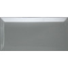 Керамическая плитка Dar Ceramics Biselado Plata Brillo 10x20