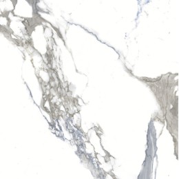 Керамогранит Absolut Keramika Medici Blue Natural Rect 80x80