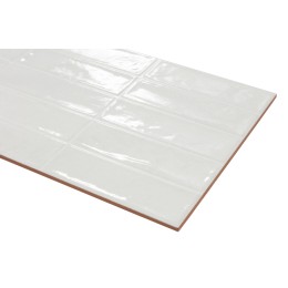 Плитка Eco Ceramic Pool White 31,6x60