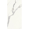 CERAMICHE PIEMME MAJESTIC PURE SUPERB STATUARIO L/R 60x119,5