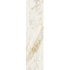 REX ETOILE CREME GLO 6MM 60X240 RET