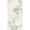 CERAMICHE PIEMME MAJESTIC PURE GLORIOUS ARABESCATO L/R 60x119,5