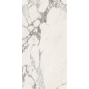 CERAMICHE PIEMME MAJESTIC PURE GLORIOUS ARABESCATO L/R 60x119,5