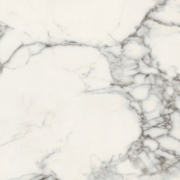 Керамогранит MAJESTIC PURE GLORIOUS ARABESCATO N/R 60x60