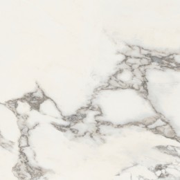 Керамогранит MAJESTIC PURE GLORIOUS ARABESCATO N/R 60x60