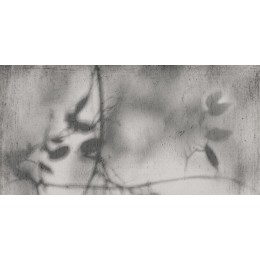 ART WALLS SHADOW NAT R60X120