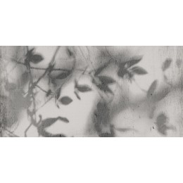 ART WALLS SHADOW NAT R60X120