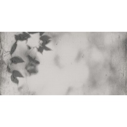 ART WALLS SHADOW NAT R60X120