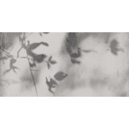 ART WALLS SHADOW NAT R60X120