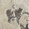 CASA DOLCE CASA  ONYX&MORE GOLDEN BLEND GLO 6MM R  120x120