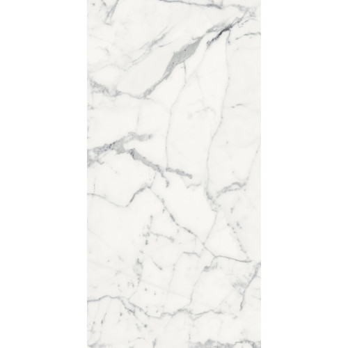 REX LES ORIGINES DE REX BLANC GLOSSY 60X120