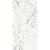 REX LES ORIGINES DE REX BLANC GLOSSY 60X120