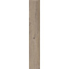 ABK POETRY WOOD  OAK NAT RETT 20x120