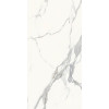 CERAMICHE PIEMME MAJESTIC PURE SUPERB STATUARIO N/R 60x119,5