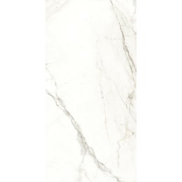 Керамогранит RHAPSODY EMOTION LEV RET 60X120