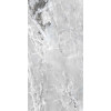 CASA DOLCE CASA ONYX&MORE SILVER BLEND GLOS 60X120 RET