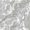 CASA DOLCE CASA ONYX&MORE WHITE PORPHYRY STR 60X60 RET