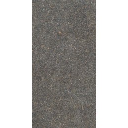 Керамогранит NATIVE FOREST LAP RET  60X120