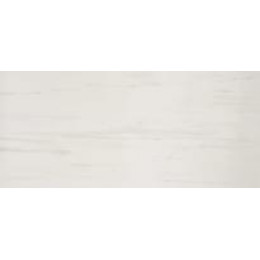 Marvel Stone Bianco Dolomite 50x110